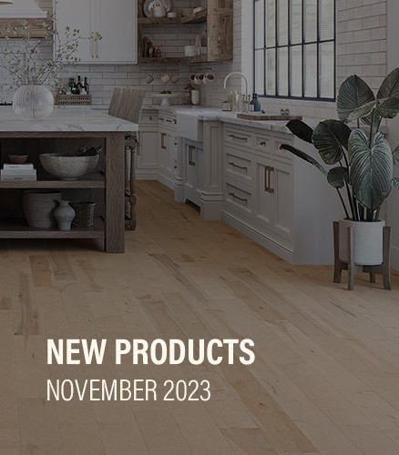 New Products | November 2023