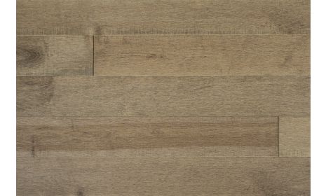 UCOCAMBIUM