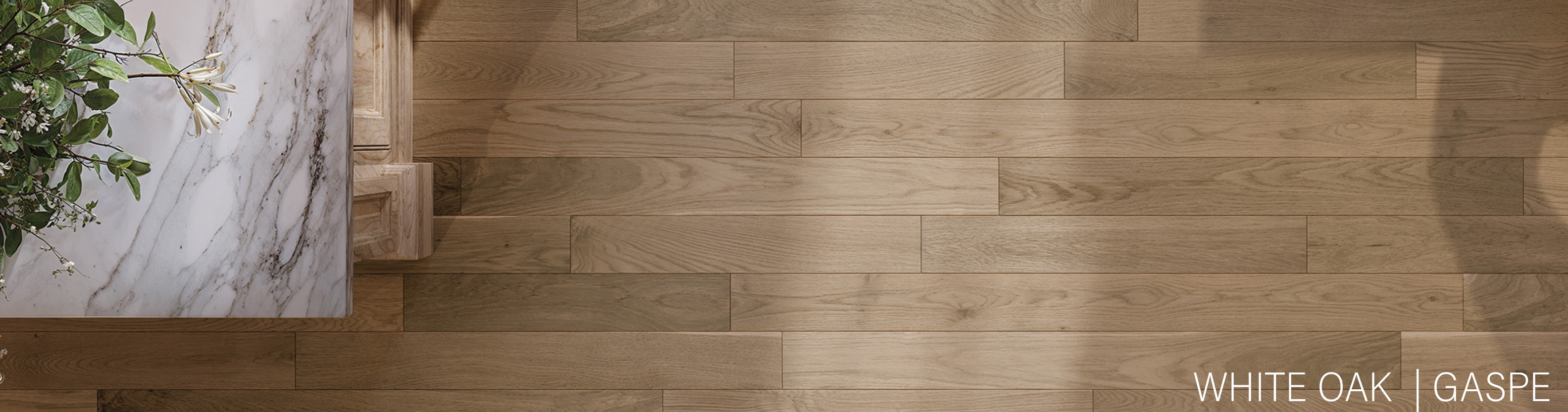 Gaspe | White oak