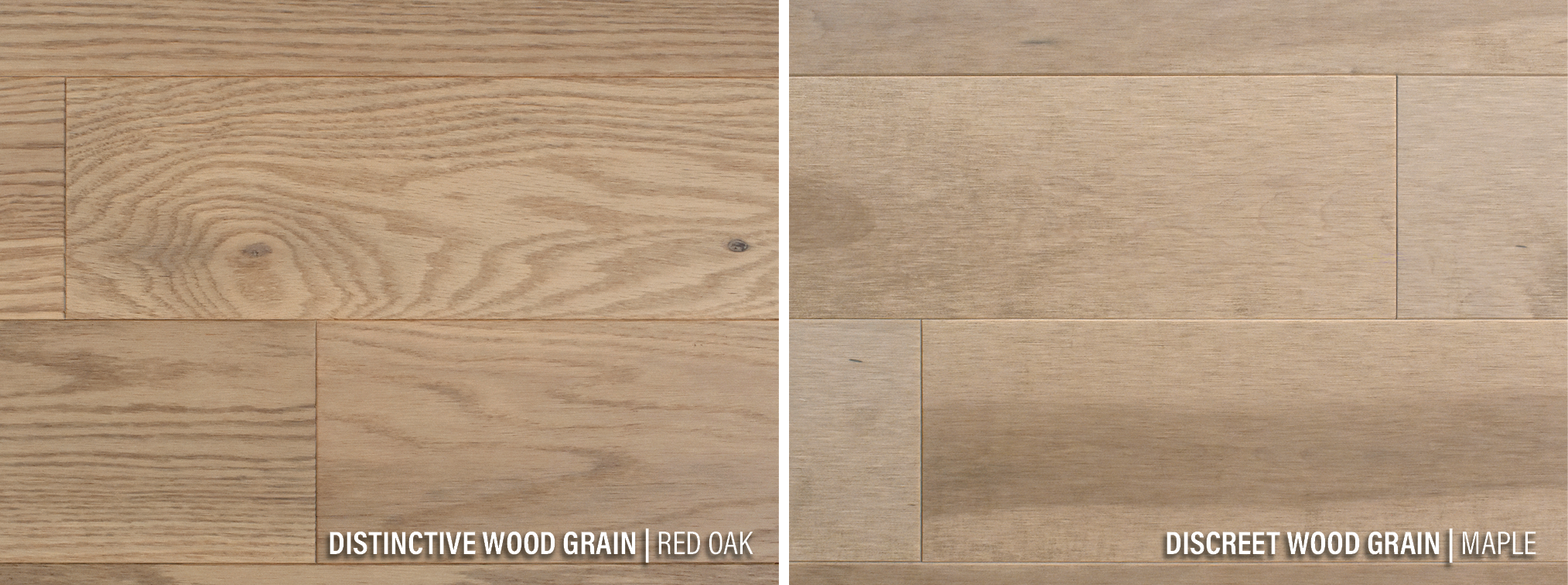 Wood Species | Grain | PG Flooring
